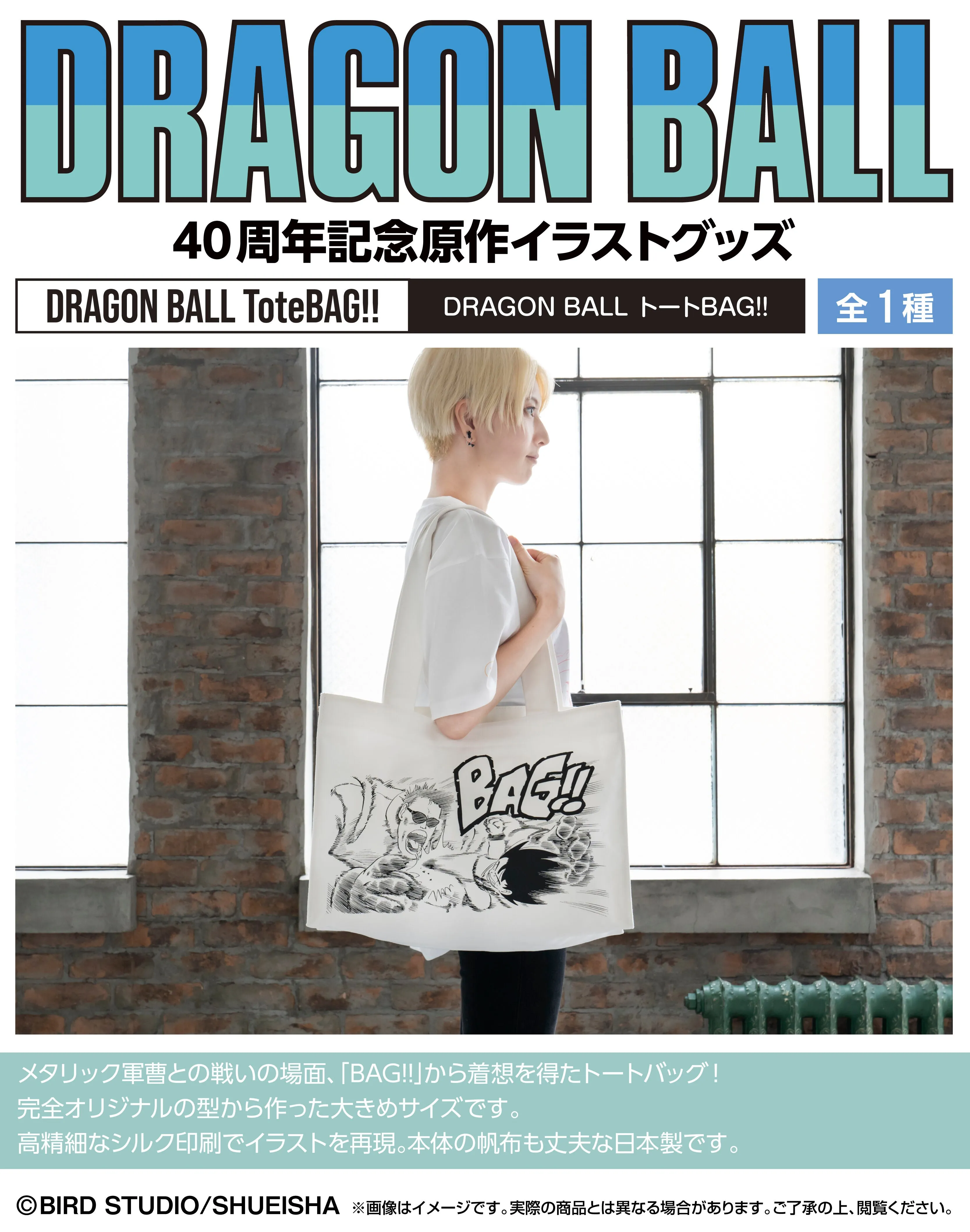 Handmade Sculpture Modern Collectible DRAGON BALL DAIMATSURI Tote BAG!!