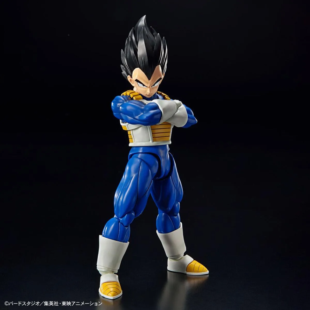 Dragon Ball Z: Vegeta (New Spec ver.) Figure-rise Standard Model Character Model