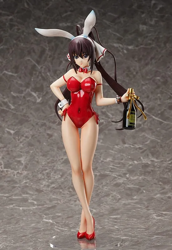 Chibi Character Collectible Collectible 1/4th Houki Shinonono Bare Leg Bunny Ver